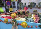 IMG 6886