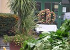 IMG 6887