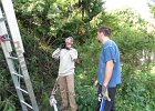 20130629 IMG 5654